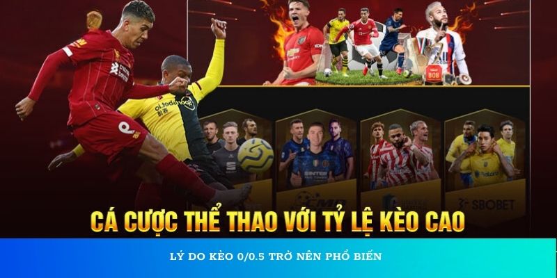 Lý do kèo 0/0.5 trở nên phổ biến