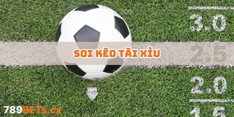 Soi Kèo Tài Xỉu – Khám Phá Chiến Thuật Chốt Kèo Hiệu Quả